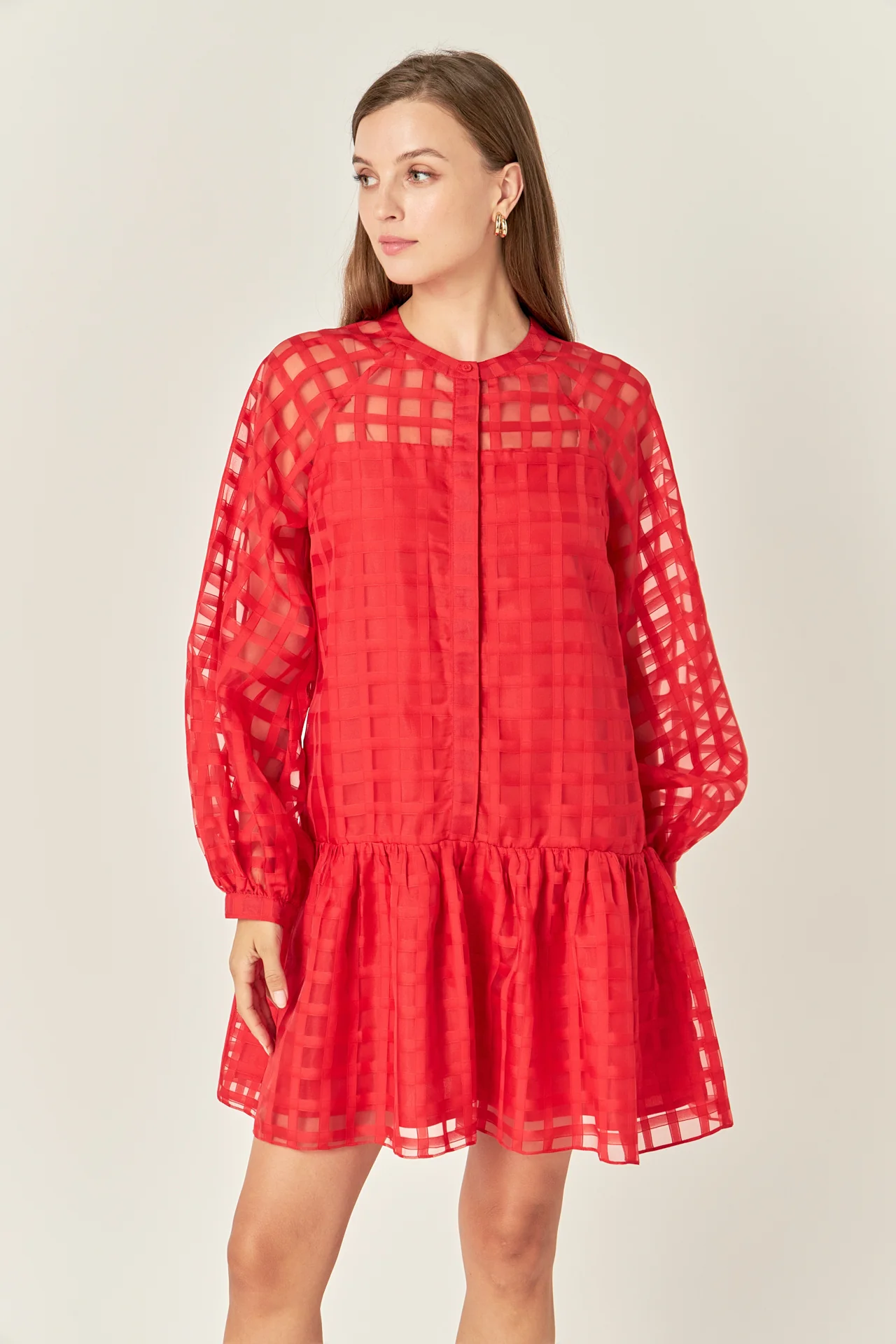 Sheer Checkered Organza Long Sleeve Mini Dress - Image 10