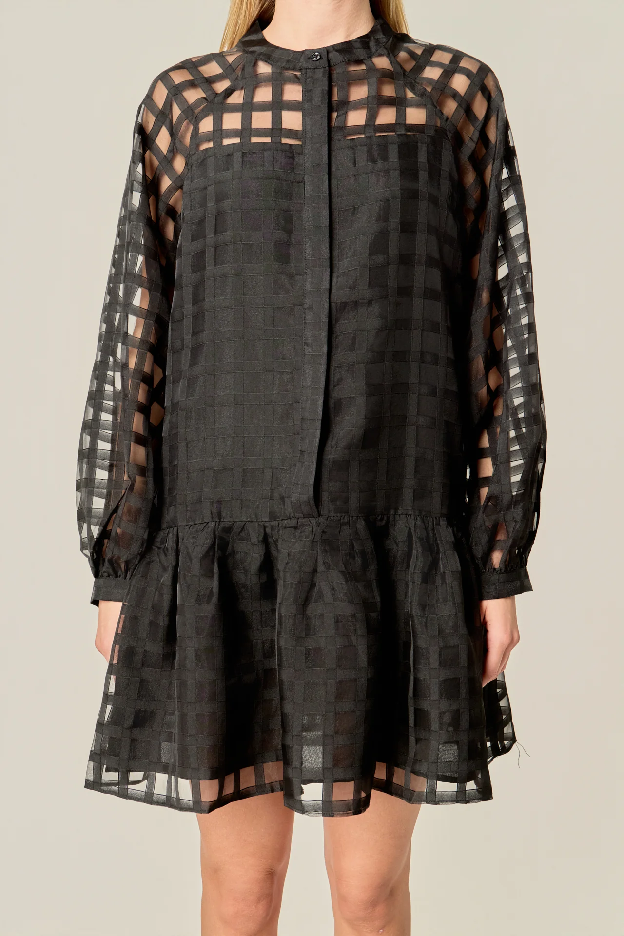 Sheer Checkered Organza Long Sleeve Mini Dress - Image 3