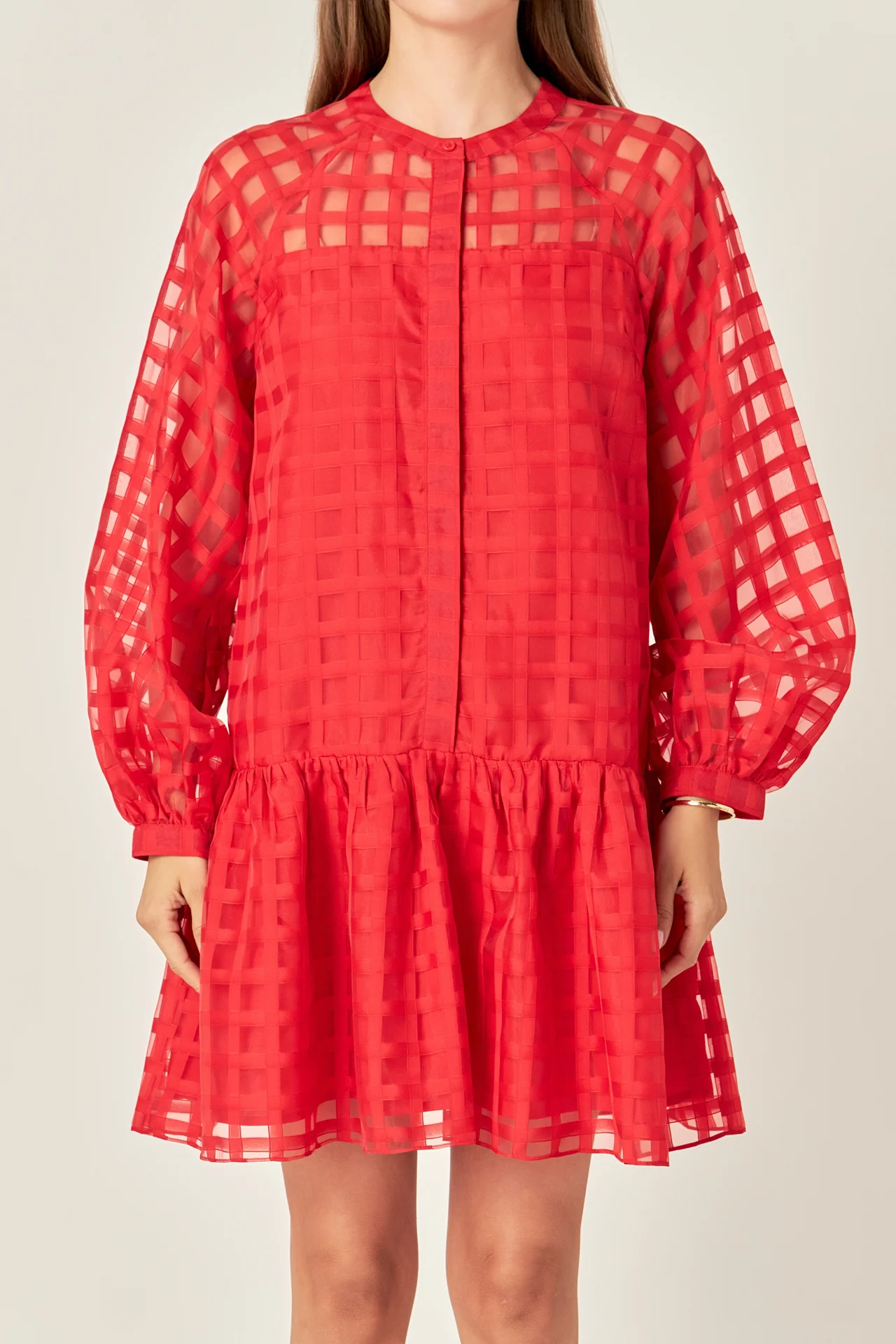 Sheer Checkered Organza Long Sleeve Mini Dress - Image 7