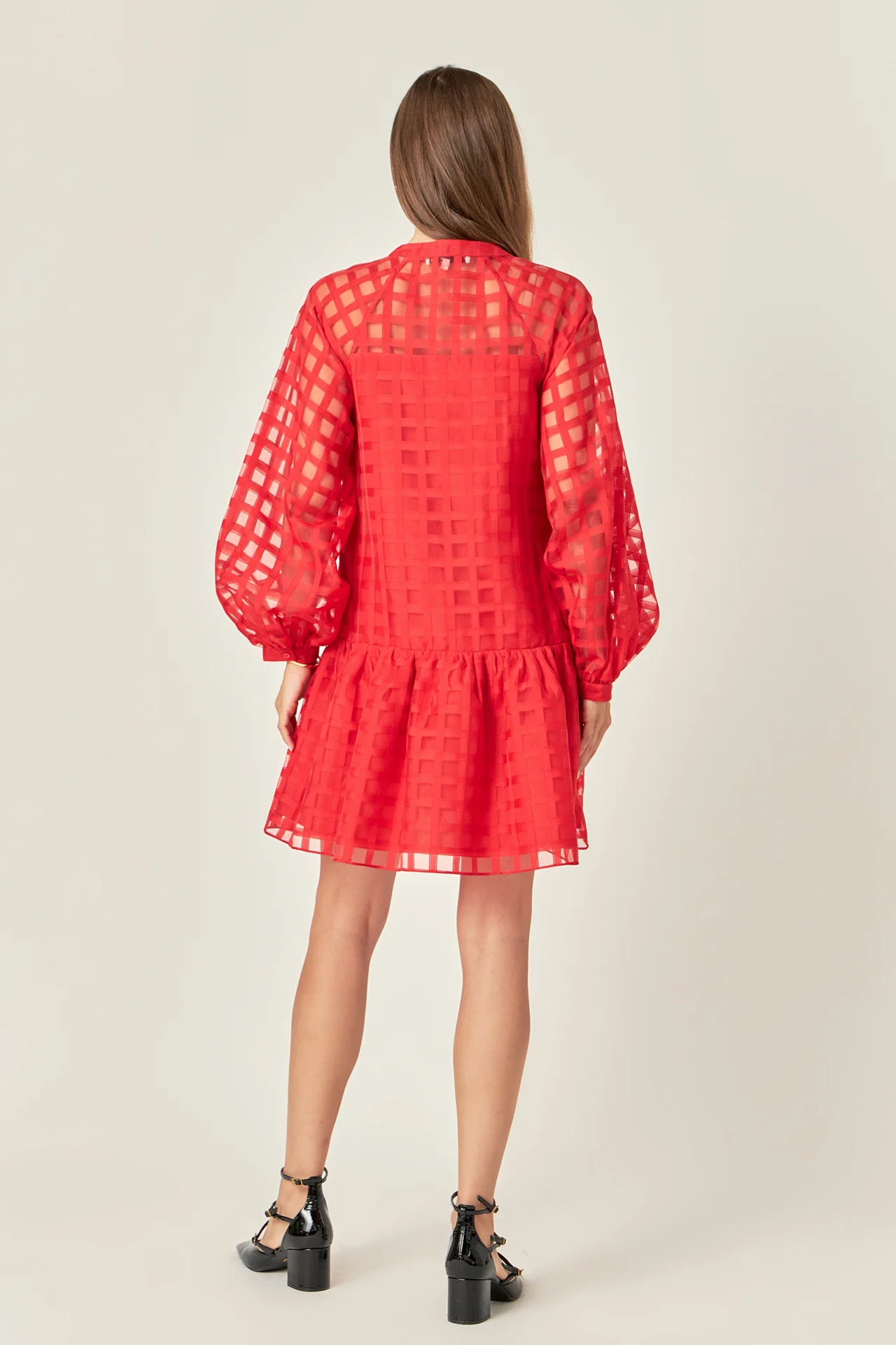 Sheer Checkered Organza Long Sleeve Mini Dress - Image 9