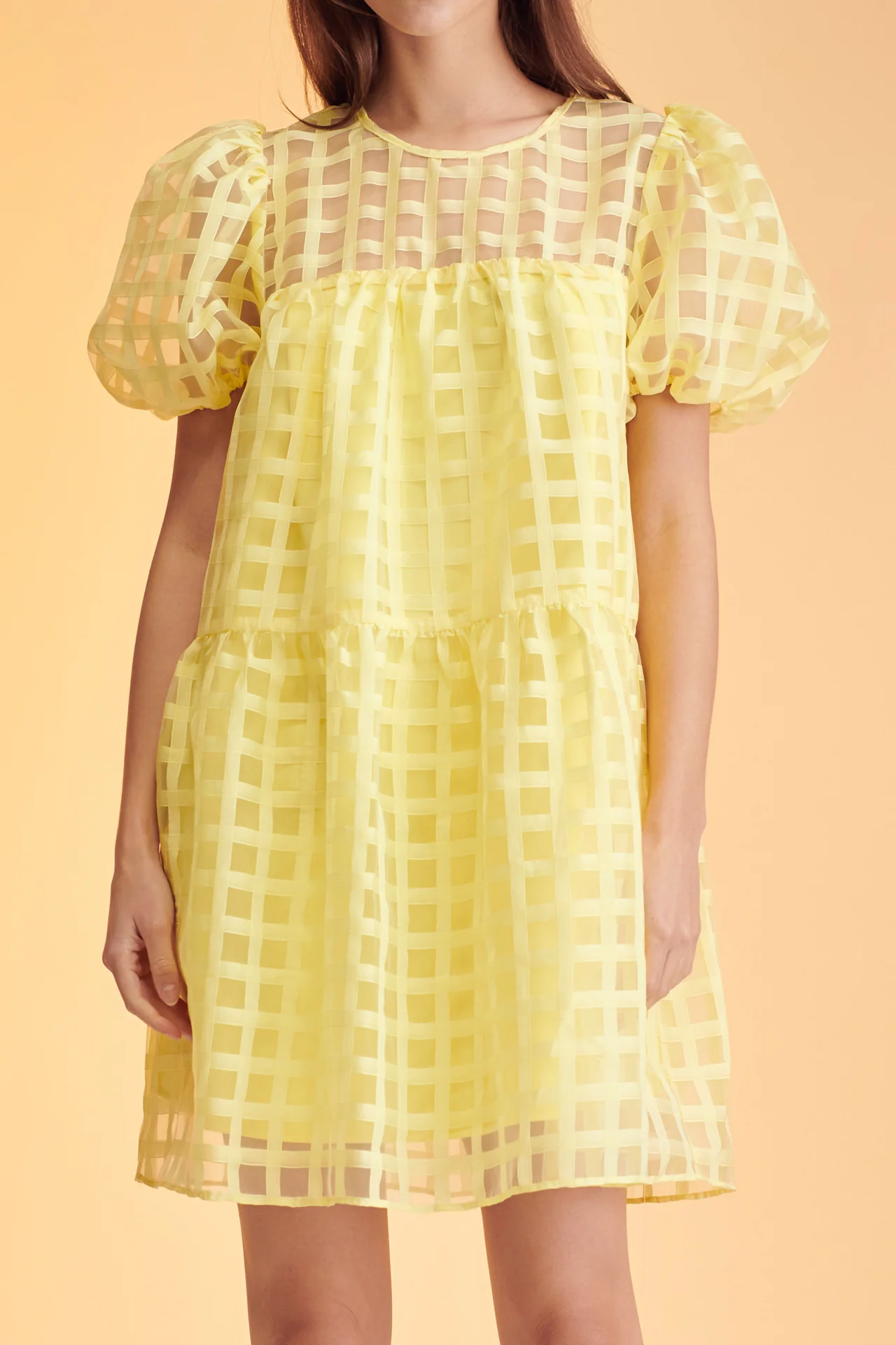 Gridded Organza Mini Dress - Image 42