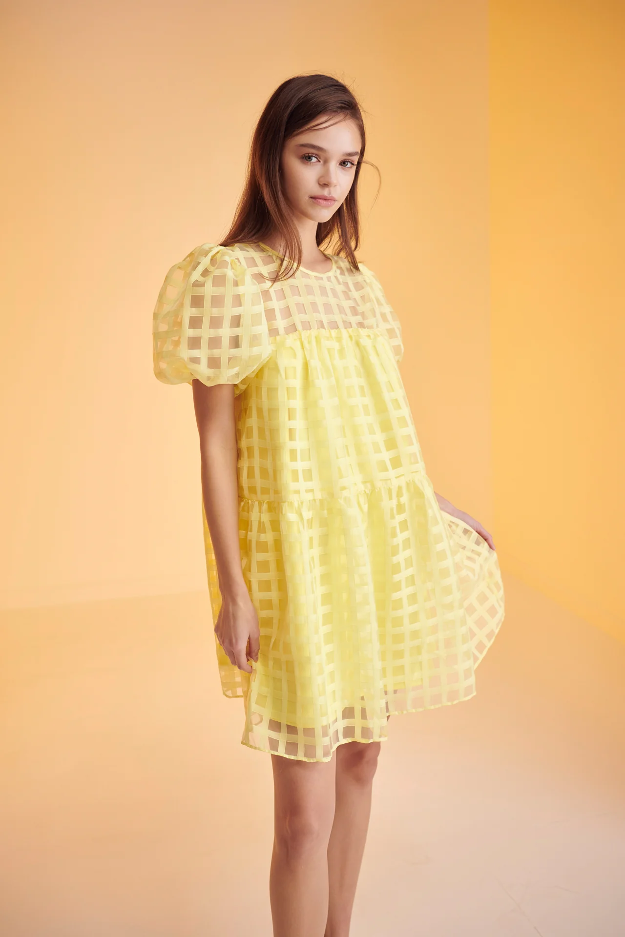 Gridded Organza Mini Dress - Image 45