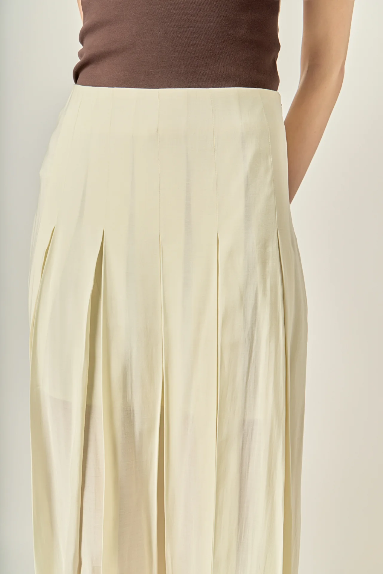 Sheer Pleated Skirt - Image 2